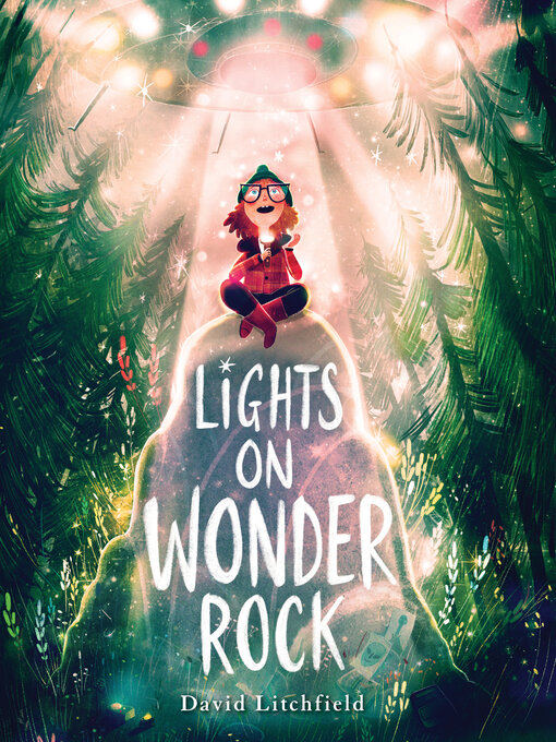 Title details for Lights on Wonder Rock by David Litchfield - Available
